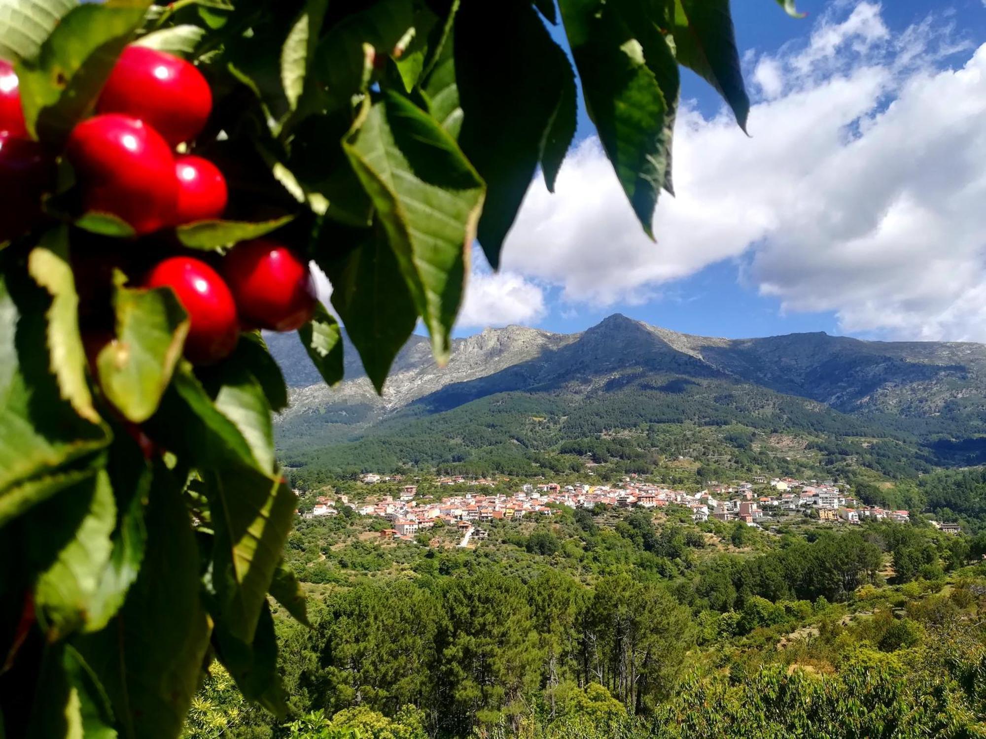 La Albarea By #Cherrygredos El Arenal  Exterior photo